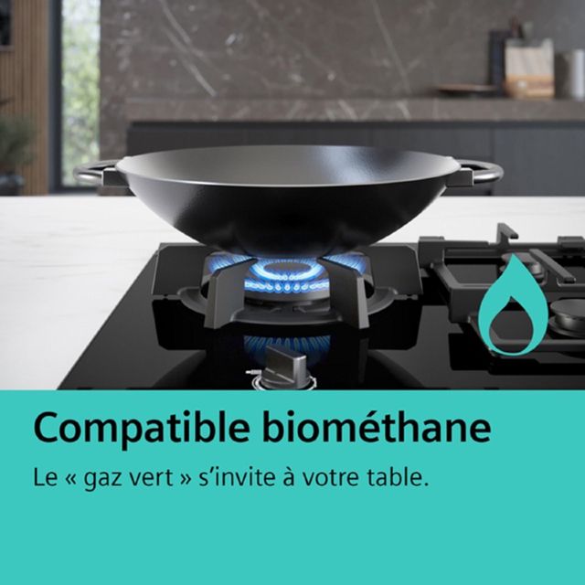 SIEMENS plaque de cuisson Domino  iQ700   ER3A6BI40